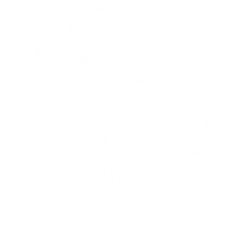 Logo de cliente da Overload